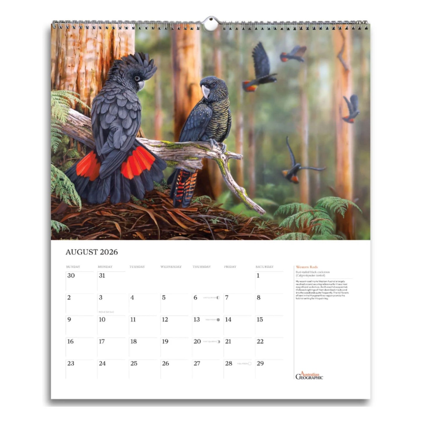 Australian Geographic Art Calendar 2026