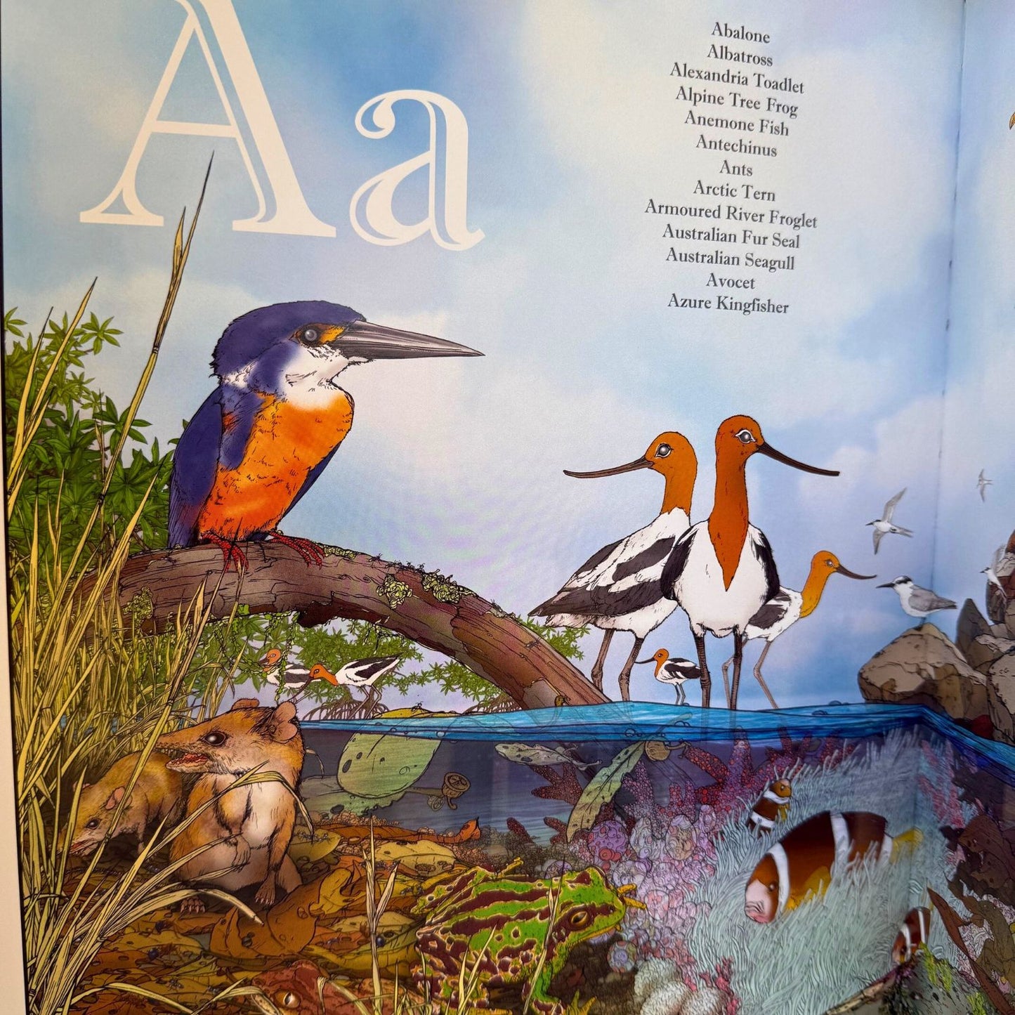 An A-Z of Australian Bush Creatures