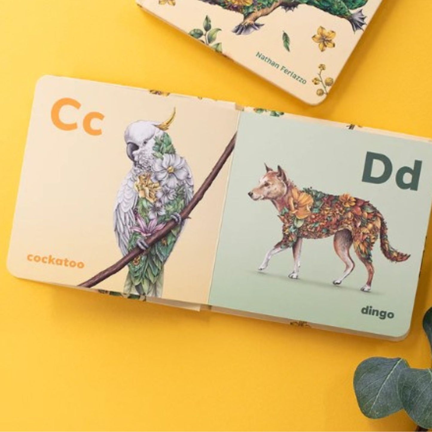 Wild Australia ABC Alphabet
