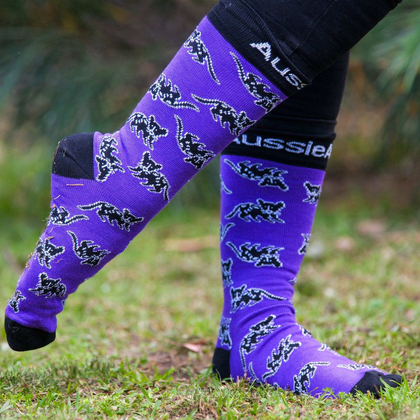 Quoll Socks