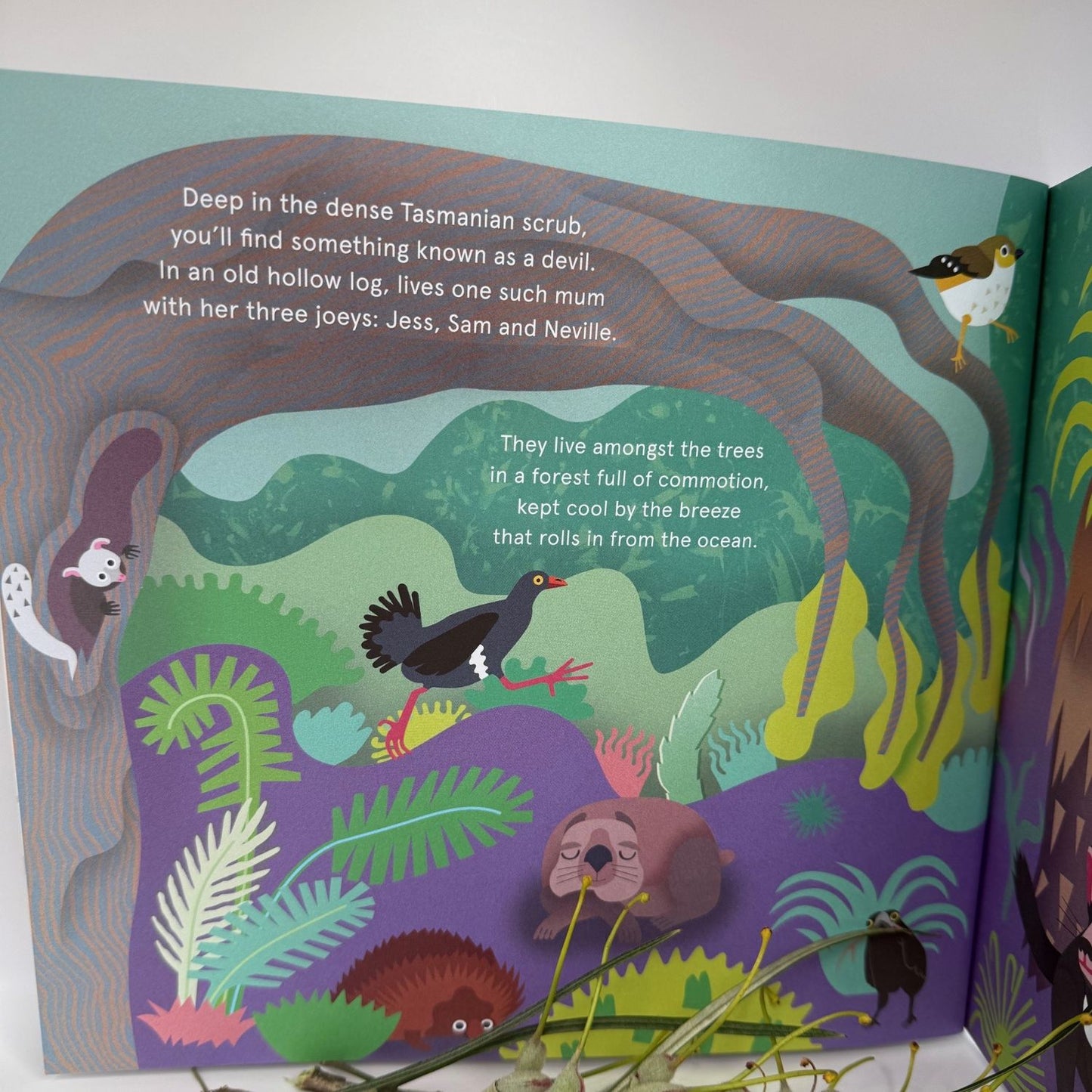 Tim Faulkner's Children's Book Series