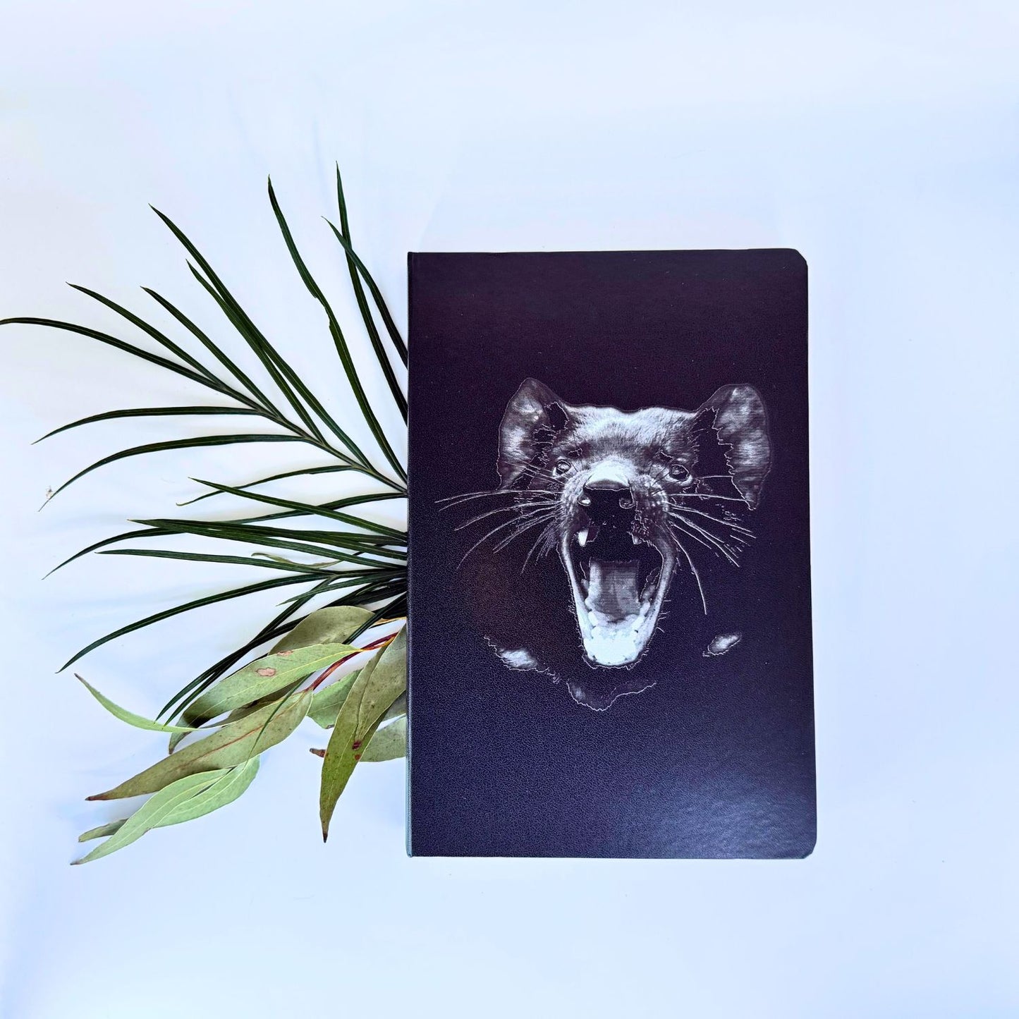 Tasmanian Devil Journal