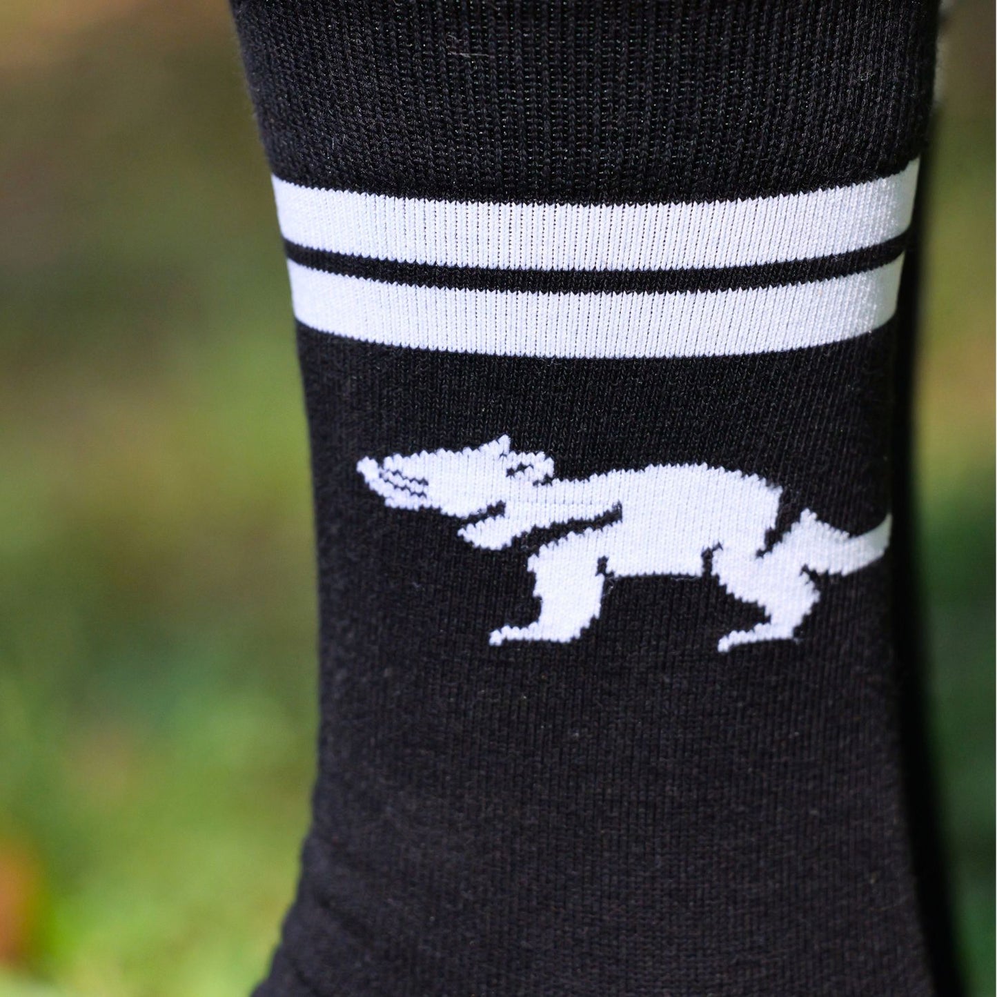 Wild Explorer Bundle