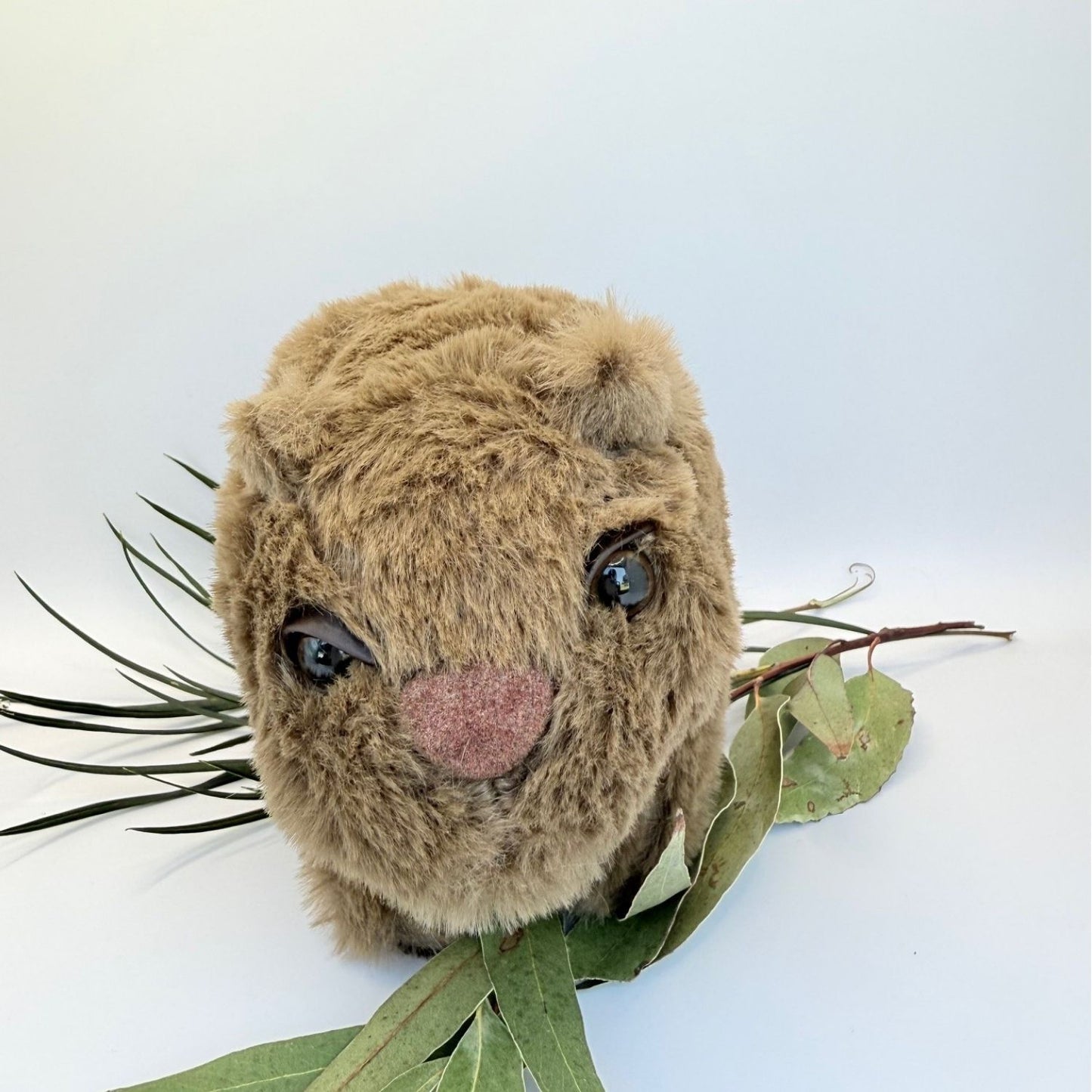 Wombat Plush Toy