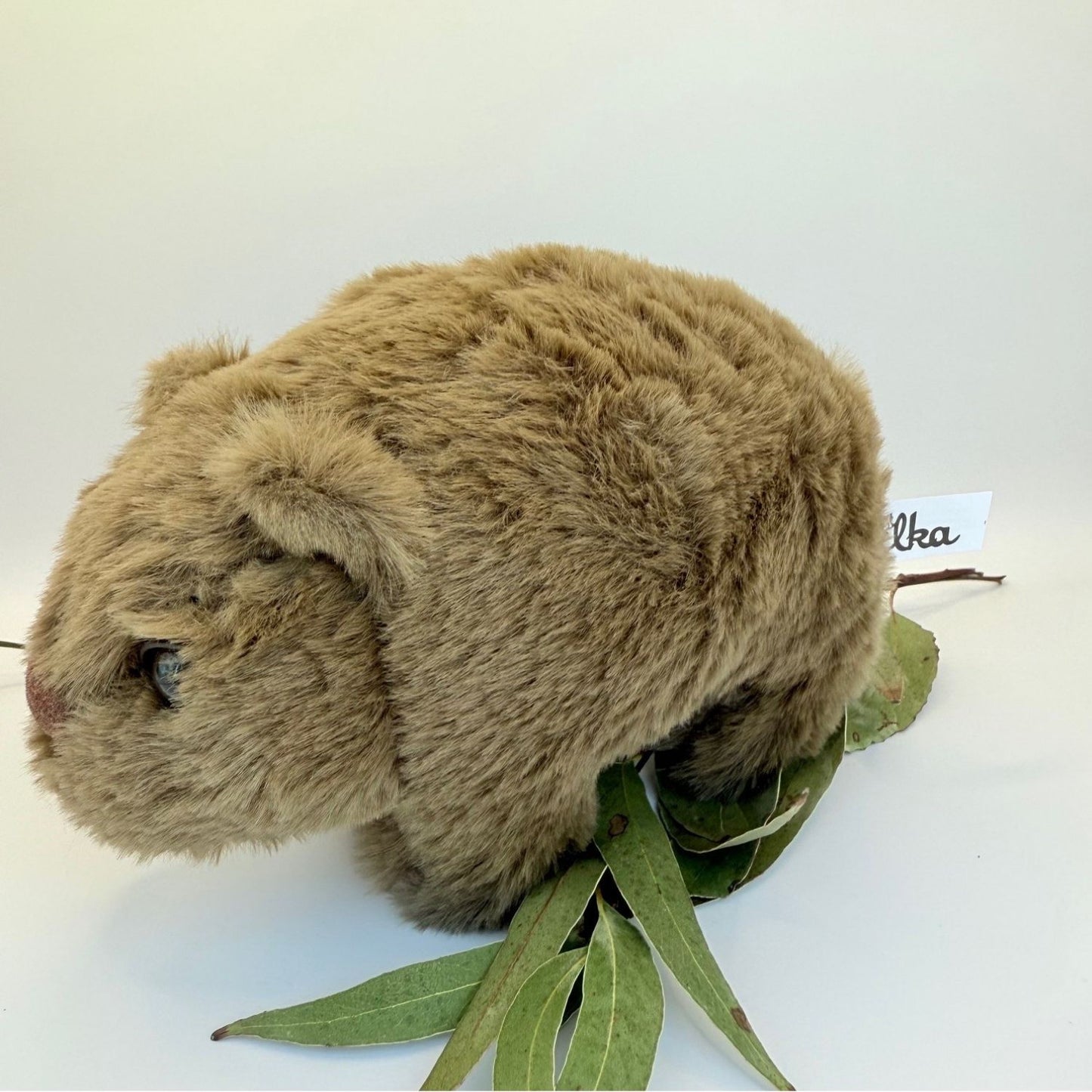 Wombat Plush Toy