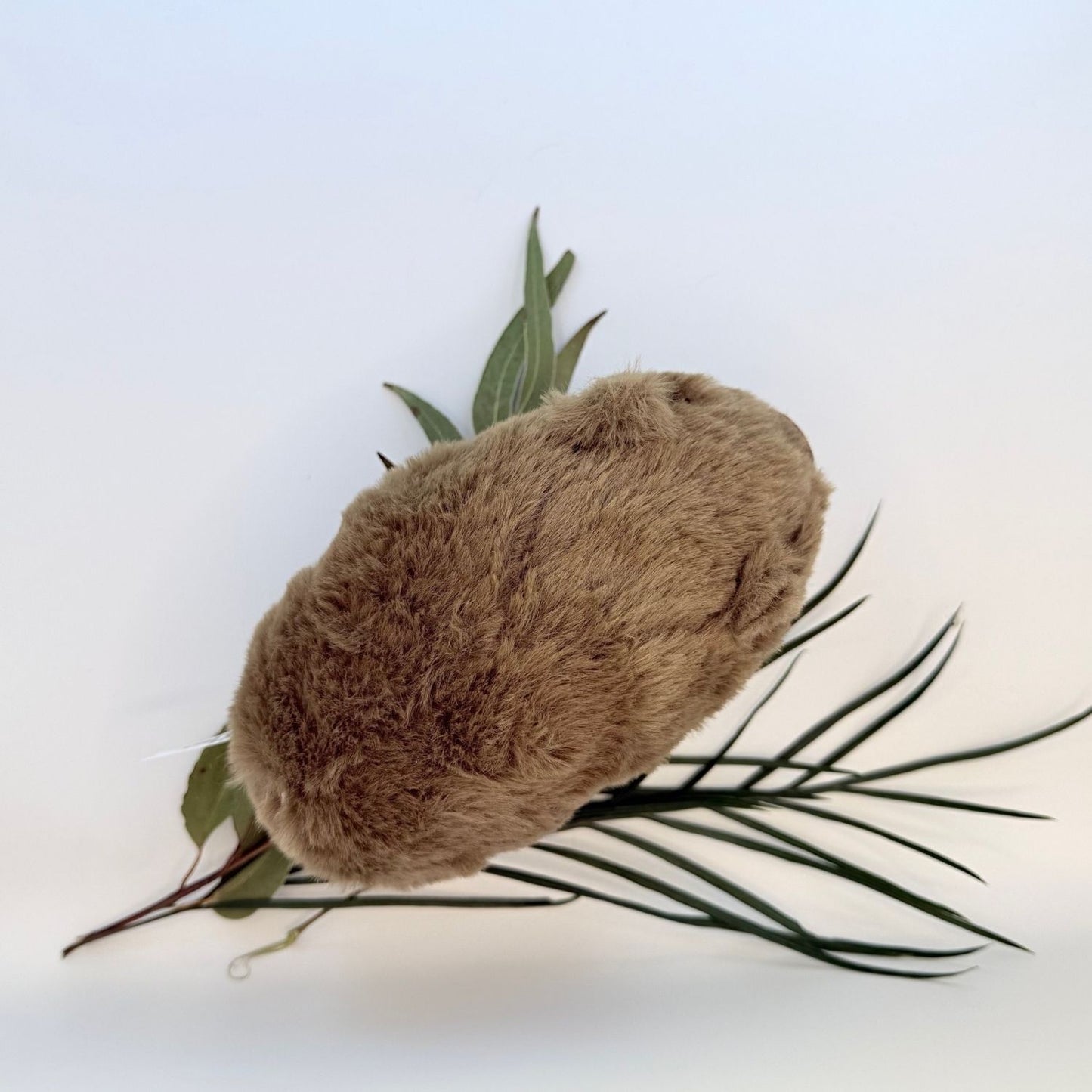 Wombat Plush Toy