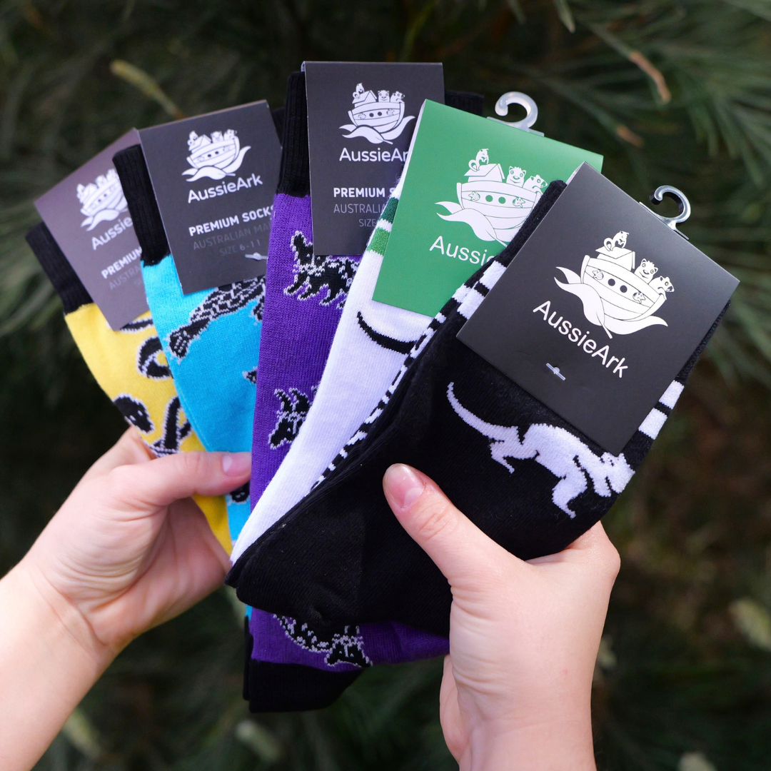 Aussie Wildlife Socks 5-Pack