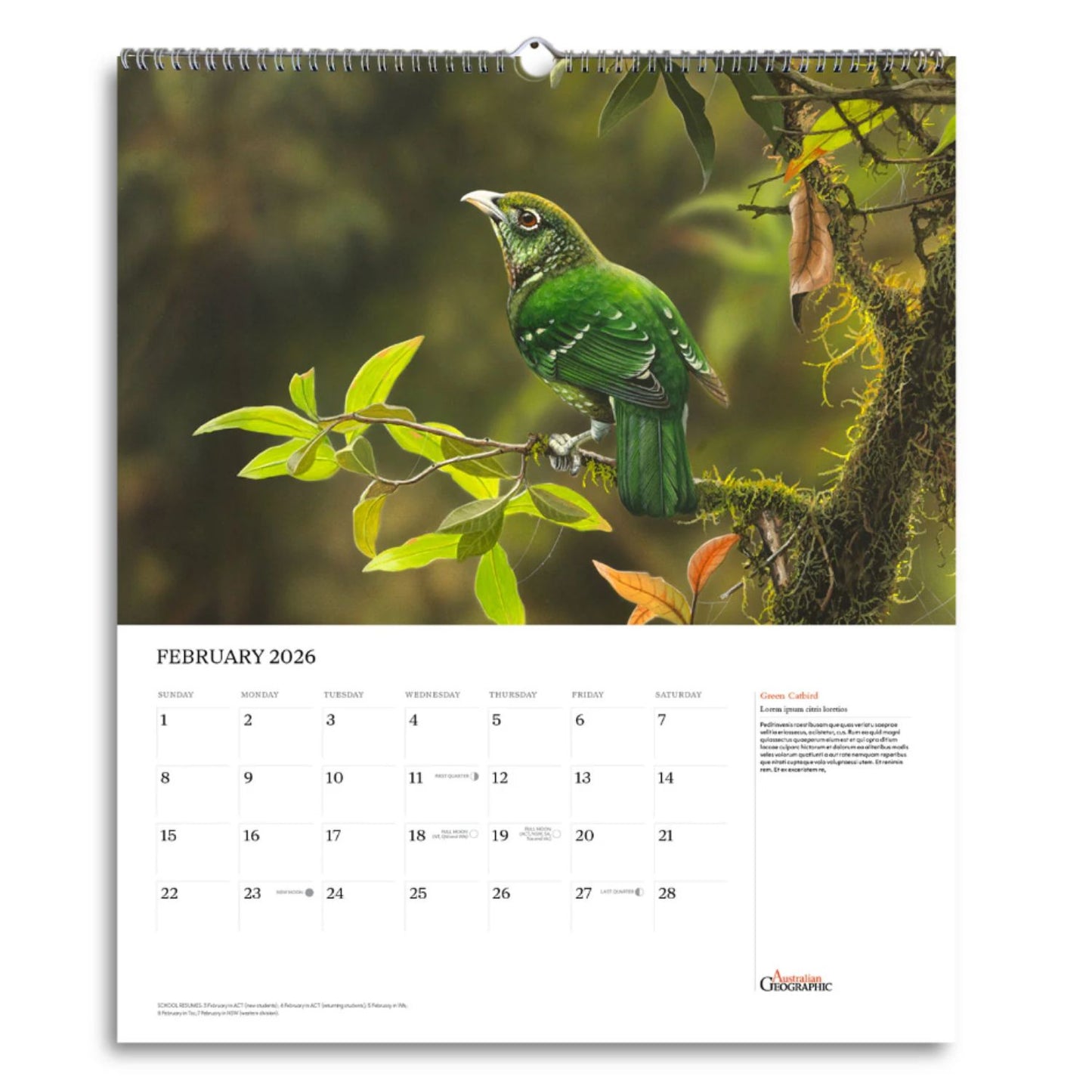 Australian Geographic Art Calendar 2026