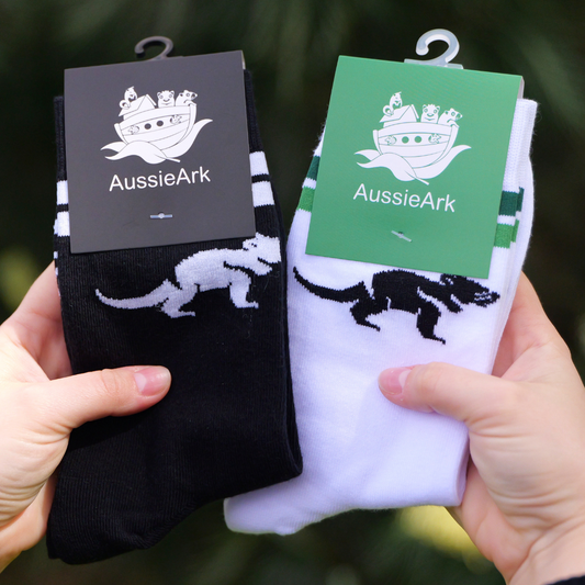 Devil Duo Socks 2-Pack