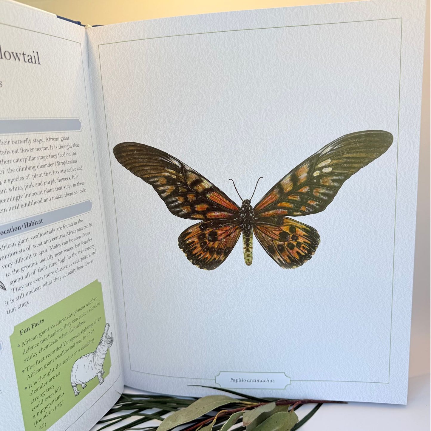The Illustrated Encyclopedia of Dangerous Animals