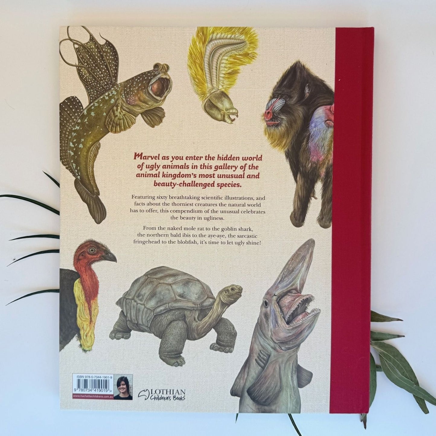 The Illustrated Encyclopaedia of Ugly Animals