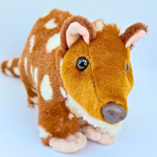 Eastern Quoll Plush Toy