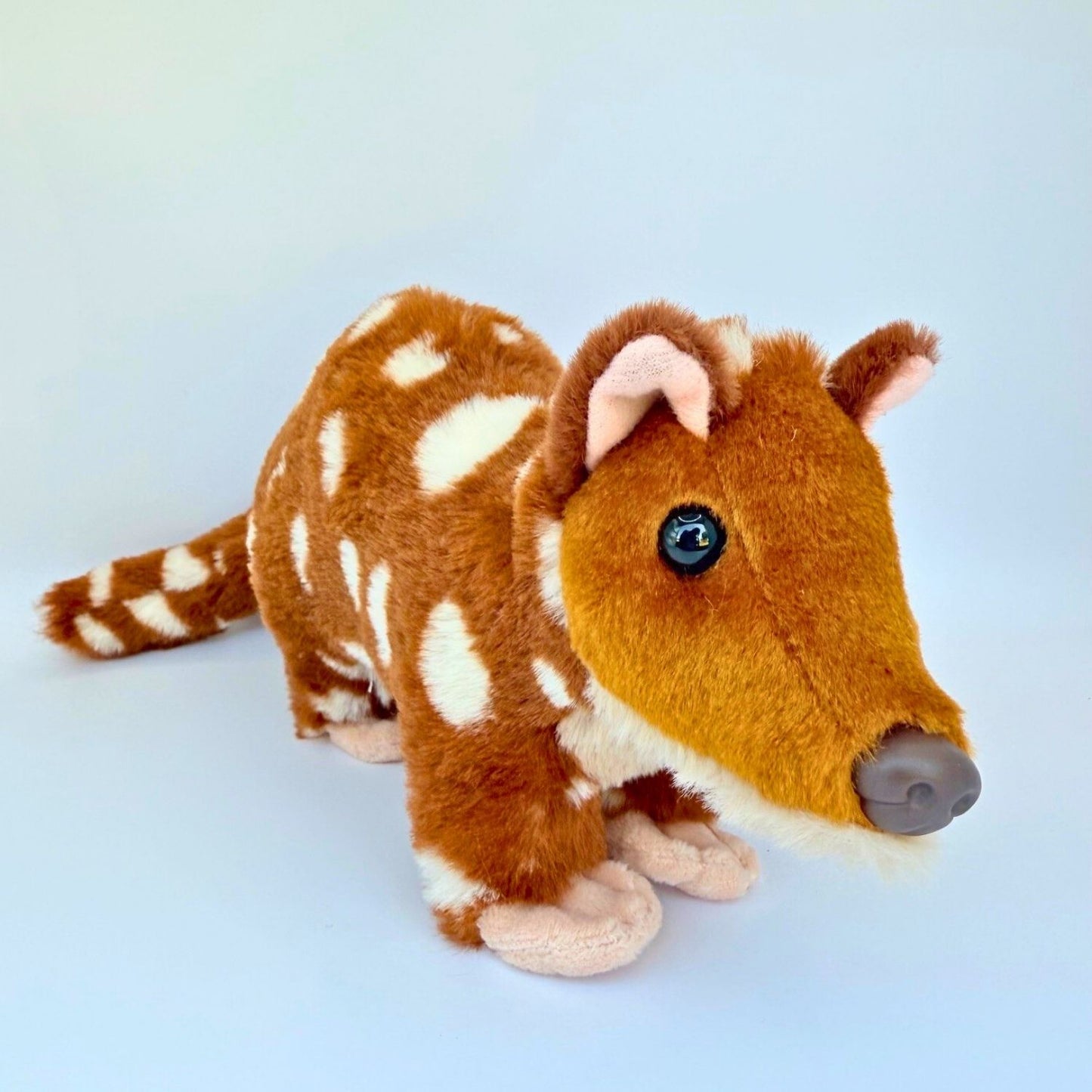 Eastern Quoll Plush Toy