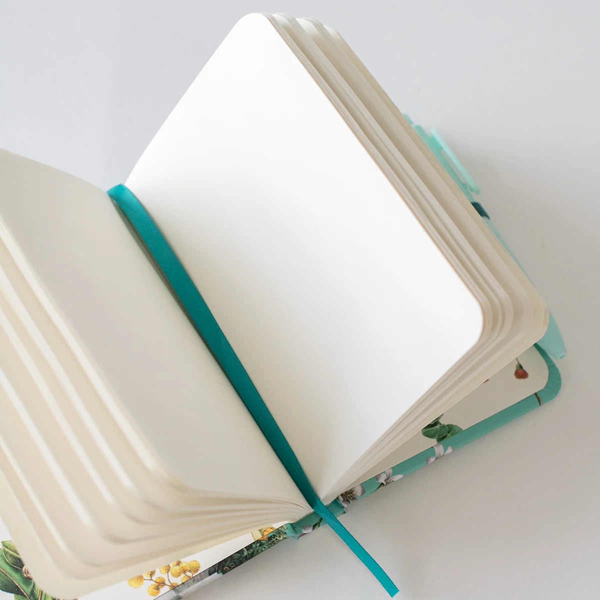 Koala Joey Hard Cover Pocket Notebook