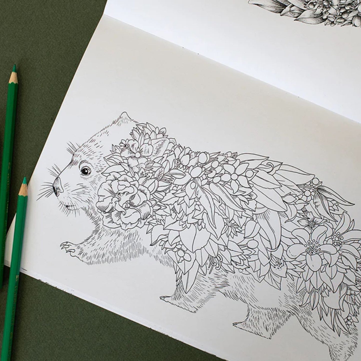 Australian Wildlife Colouring in Book