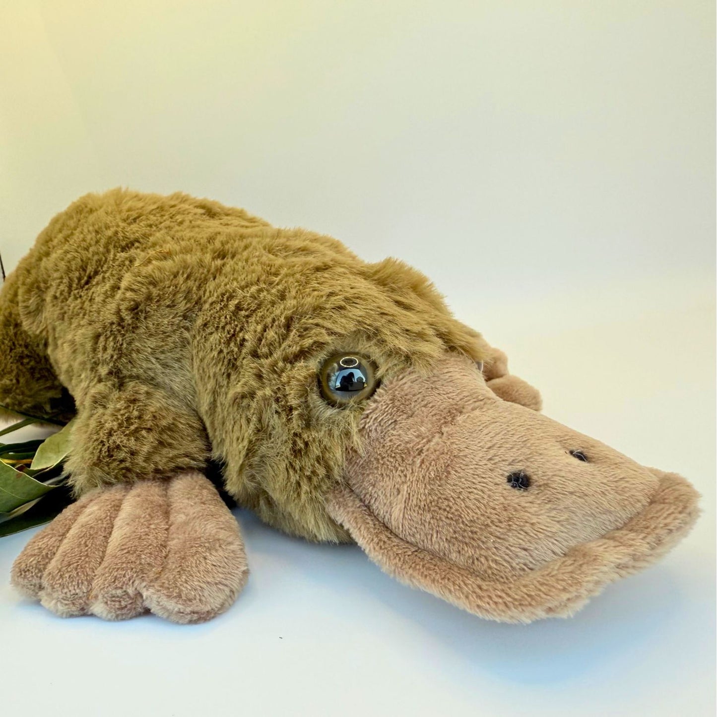 Platypus Plush Toy
