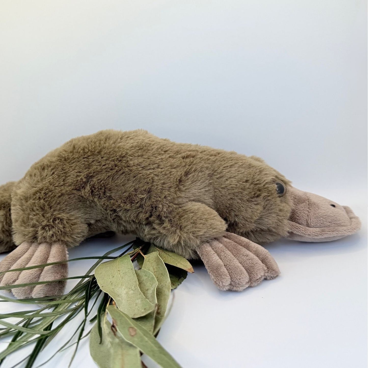 Platypus Plush Toy