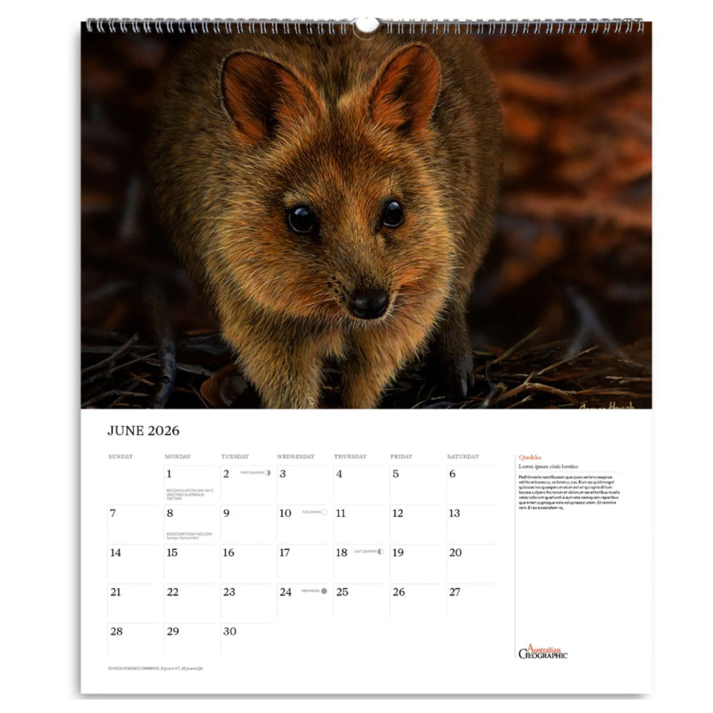 Australian Geographic Art Calendar 2026