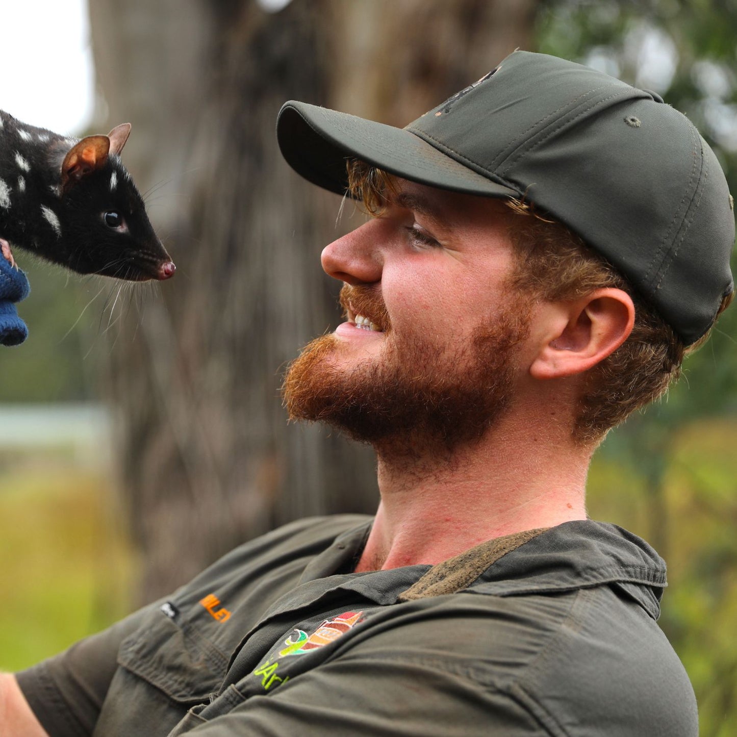 Tasmanian Devil Cap