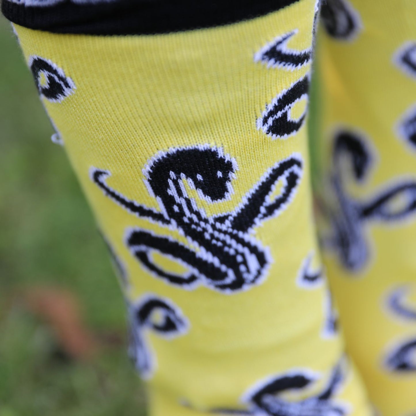 Snake Socks