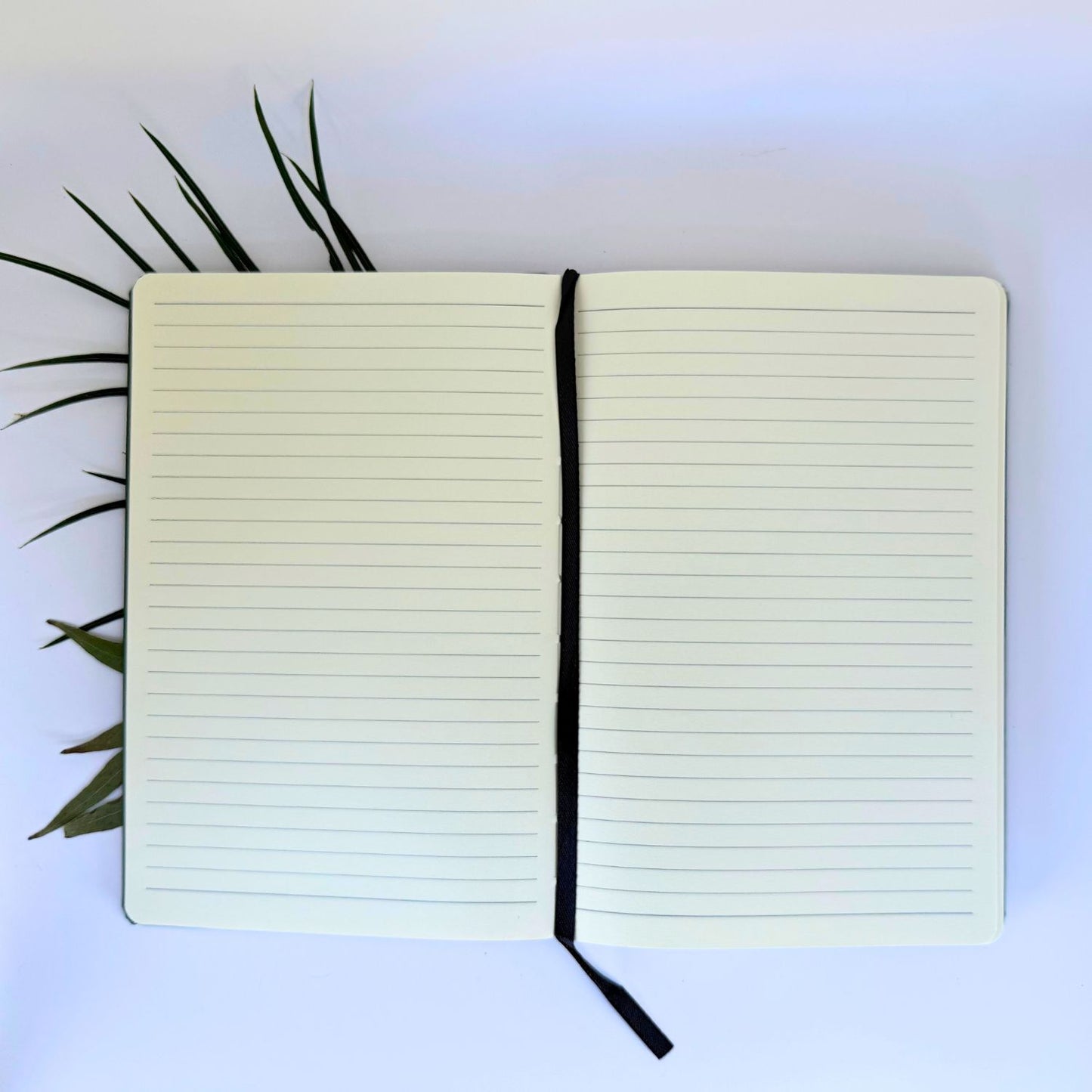 Tasmanian Devil Journal