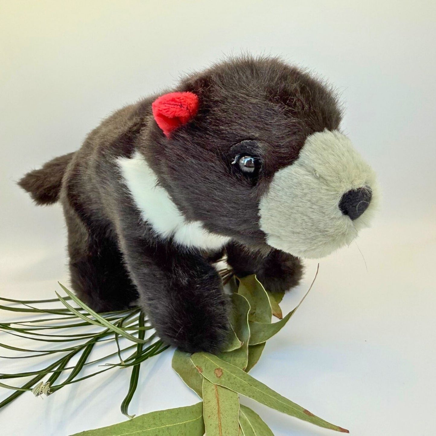 Tasmanian Devil Plush Toy