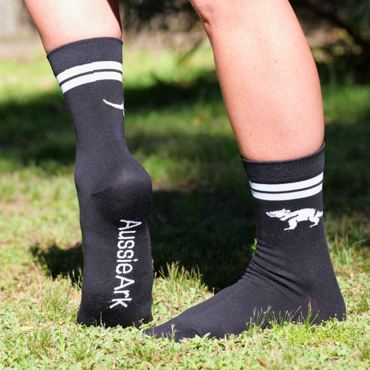 Tasmanian Devil Socks Black & White