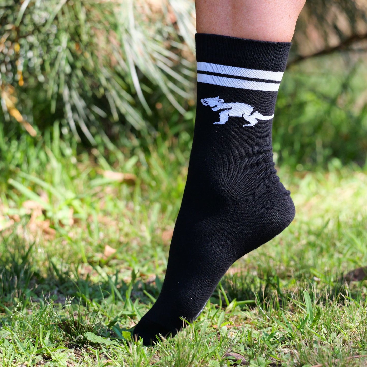 Tasmanian Devil Socks Black & White