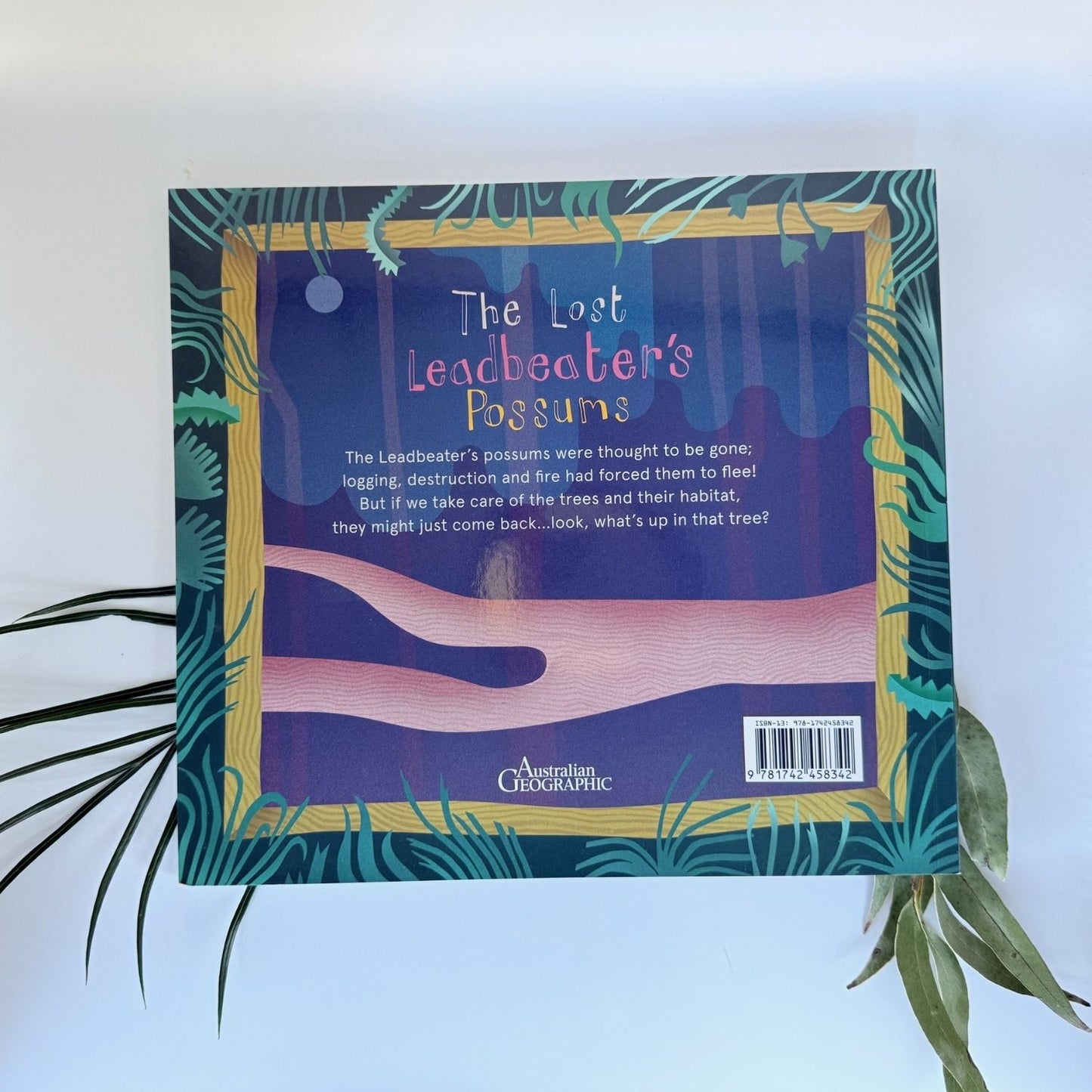 The Lost Leadbeaters Possum