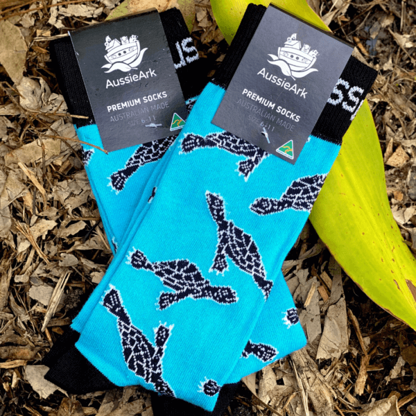 Turtle Socks