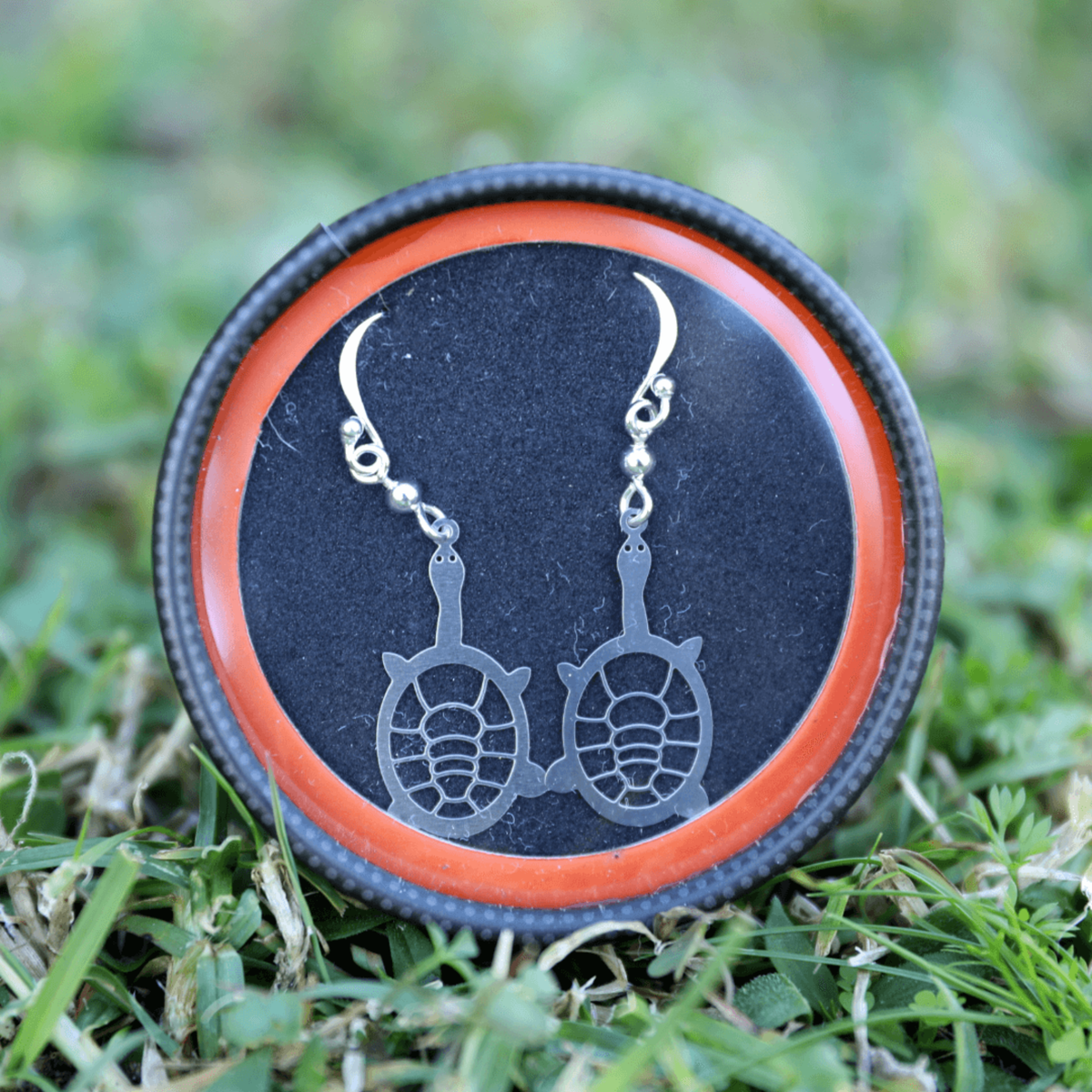 Save Our Freshwater Turtles Bundle