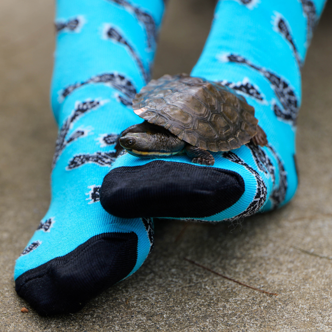 Aussie Wildlife Socks 5-Pack