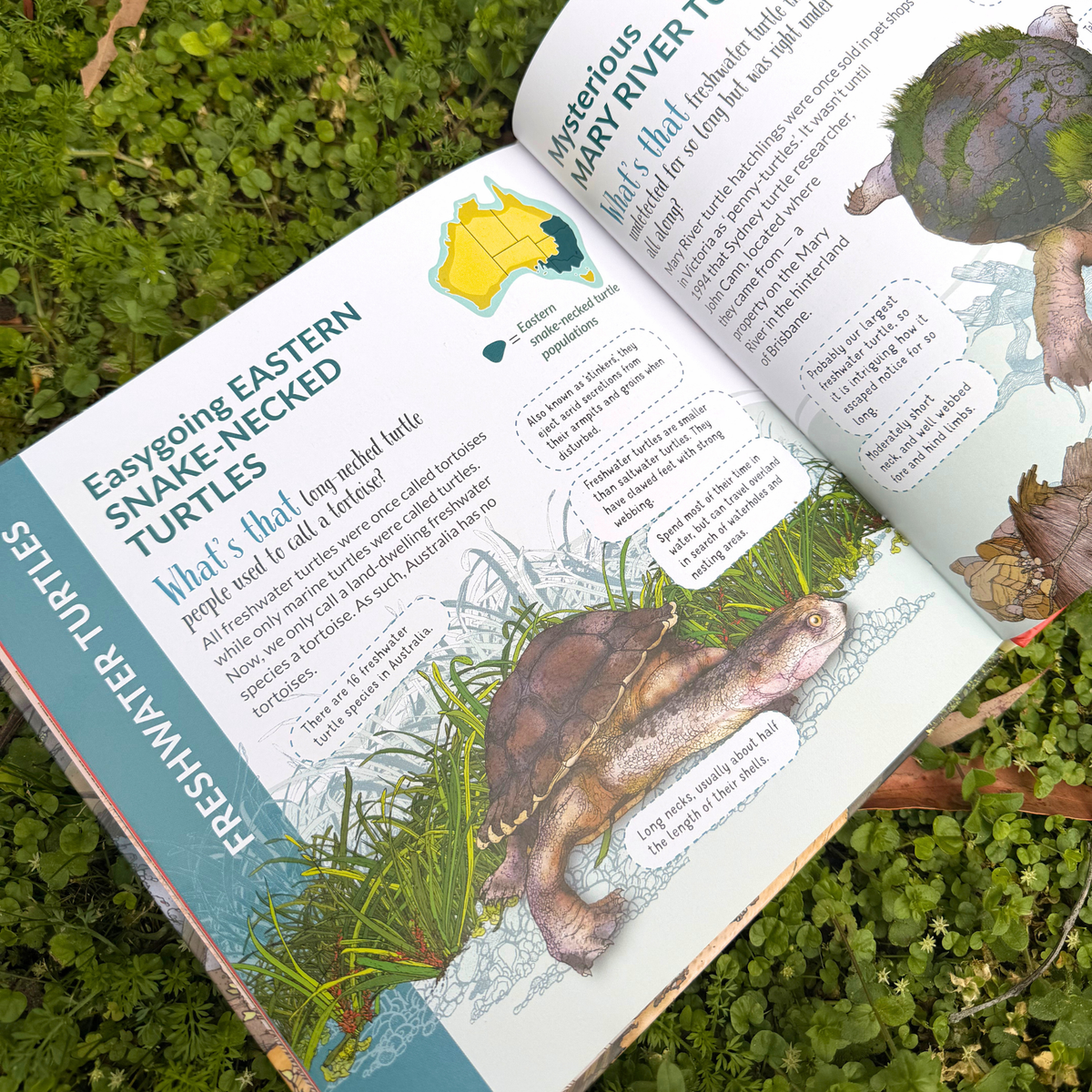 Save Our Freshwater Turtles Bundle