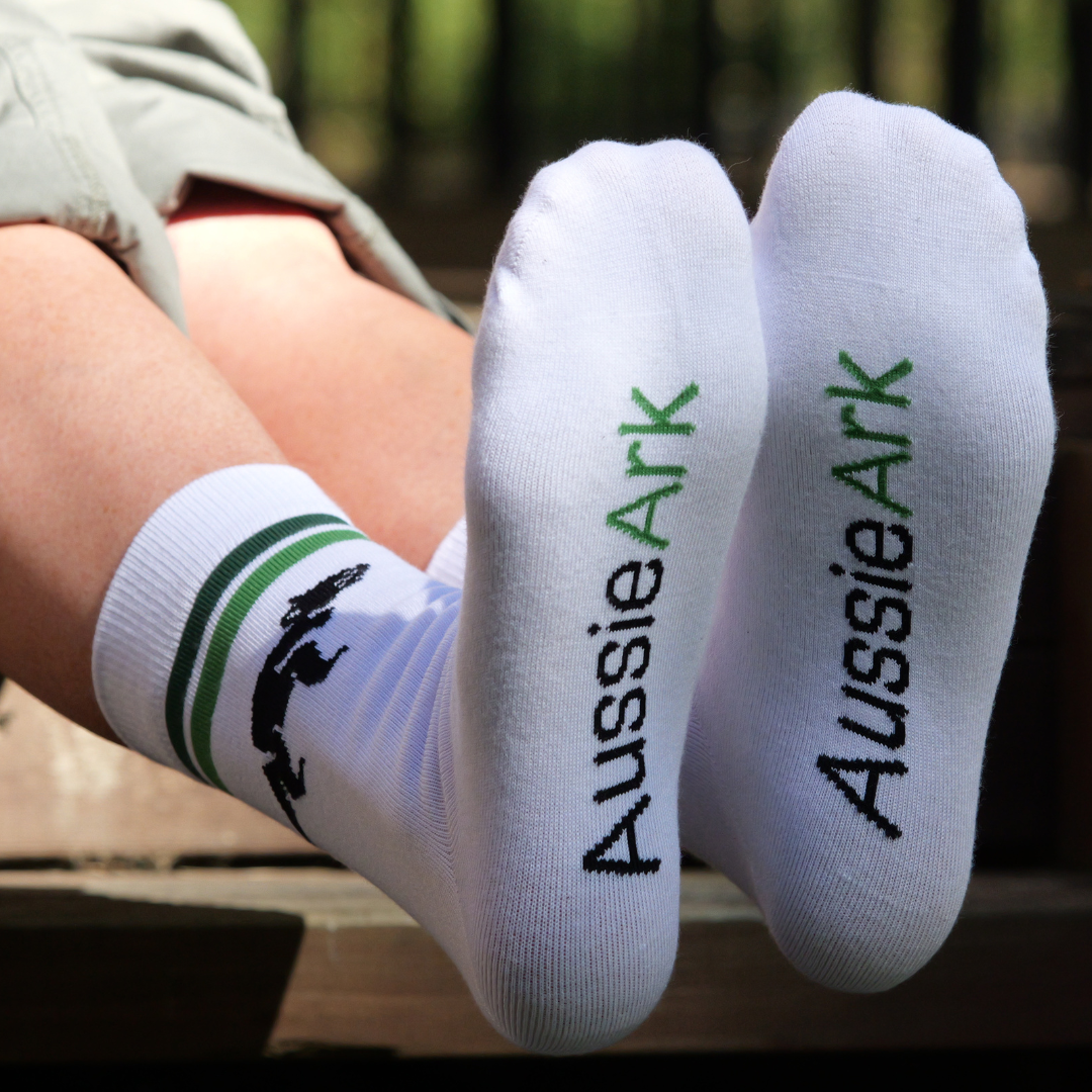 Aussie Wildlife Socks 5-Pack