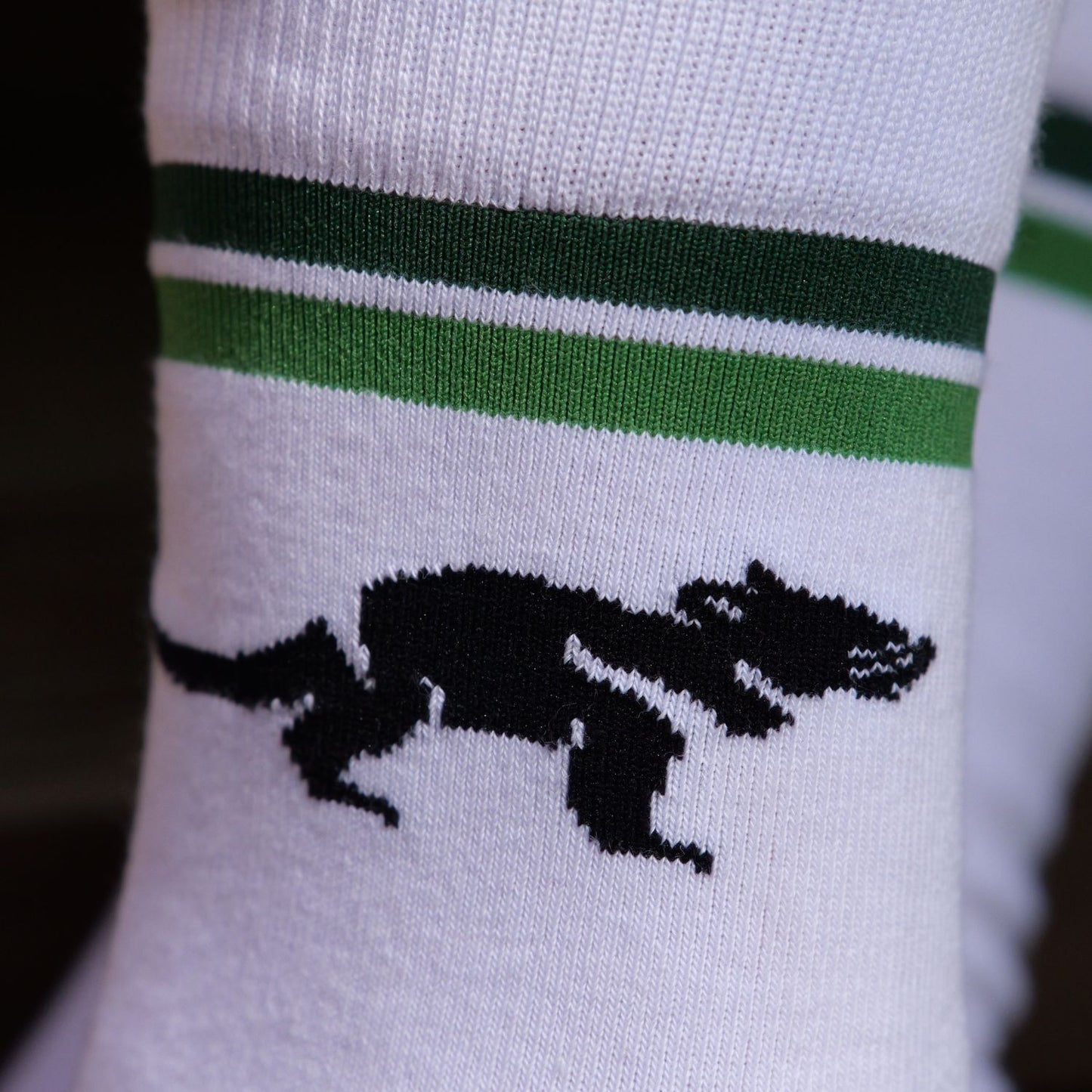 Tasmanian Devil Socks