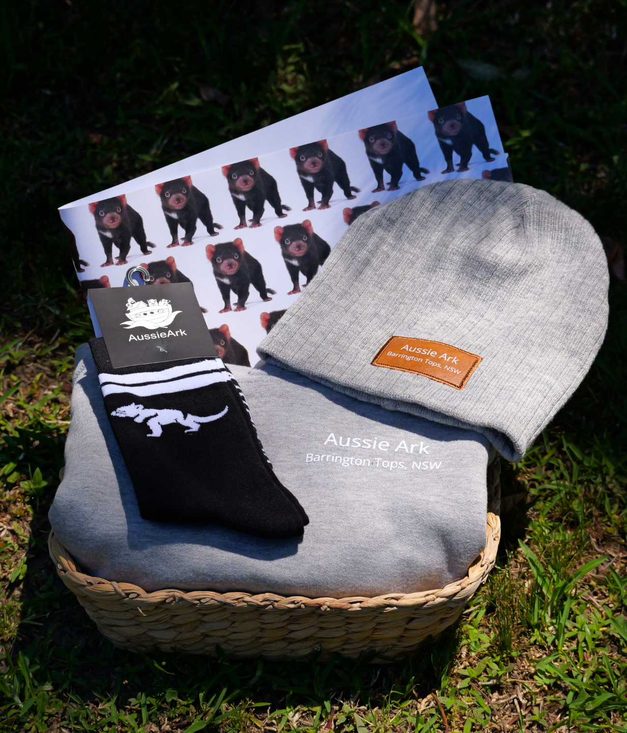 Wild Explorer Bundle