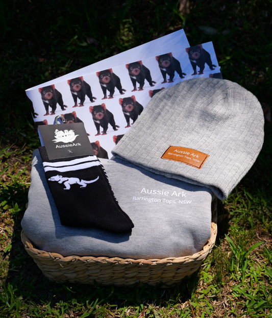 Wild Explorer Bundle