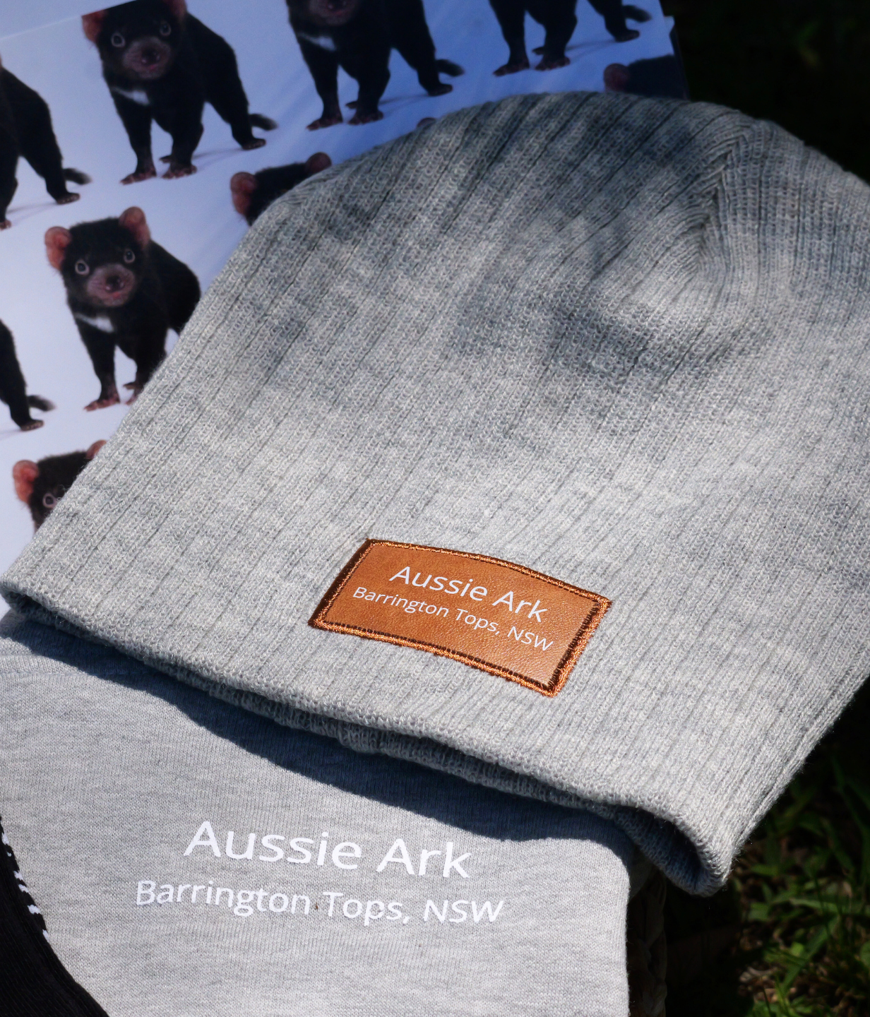 Wild Explorer Bundle