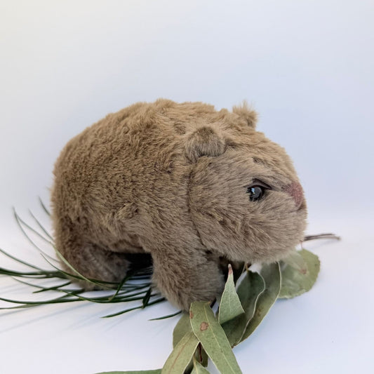 Wombat Plush Toy